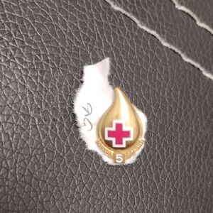 Gold and Red Teardrop Brooch